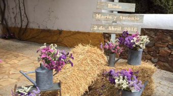 Decoración Floral10